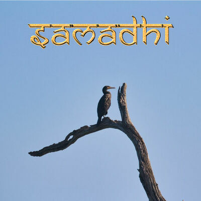 Samadhi