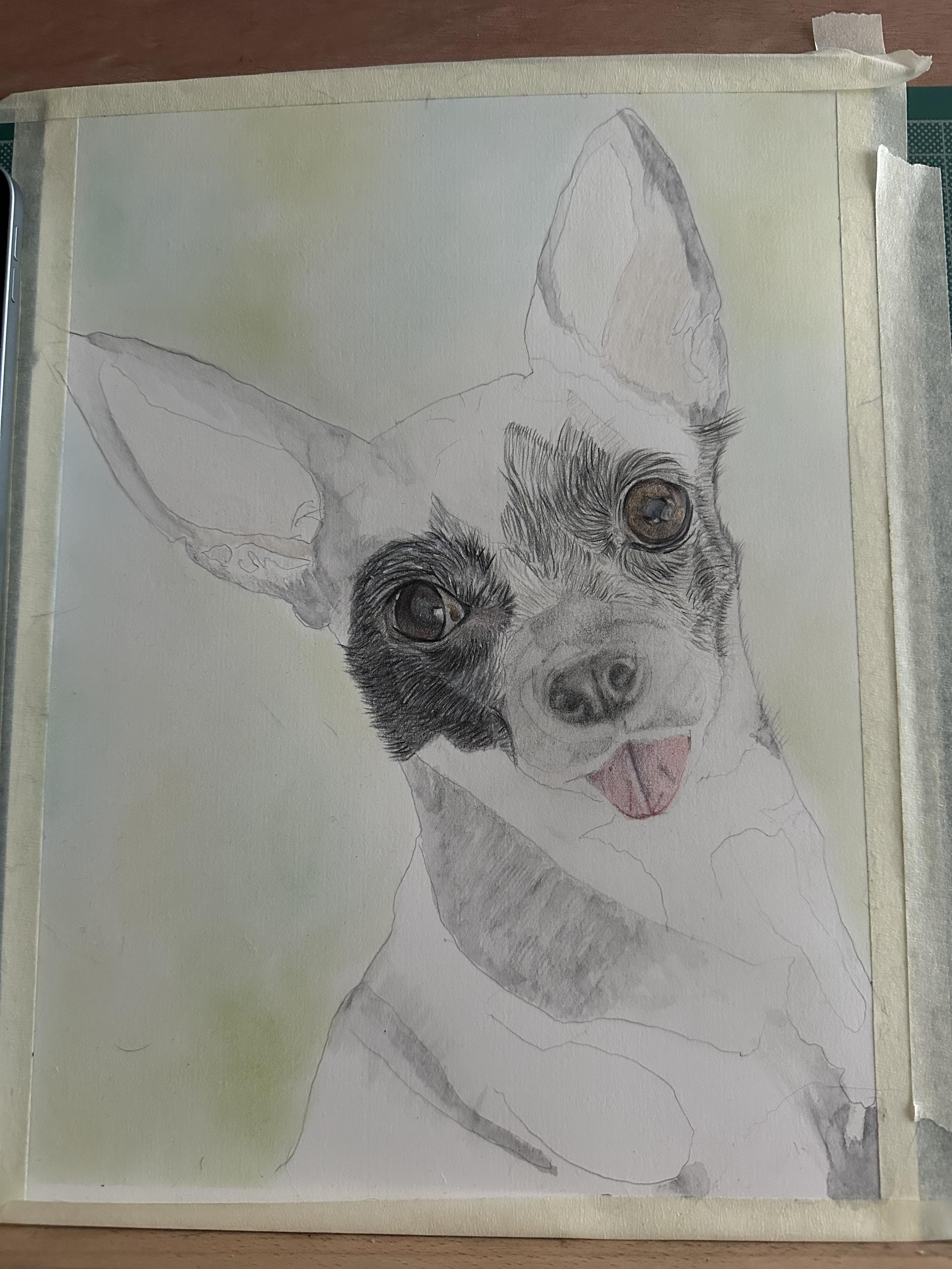 Début du dessin de mon chien réalisé aux crayons de couleurs. Le fond est fait aux pastels et la base aux crayons aquarelles. J’ai arrêté de dessiner, je pleurais trop. Je terminerai plus tard.