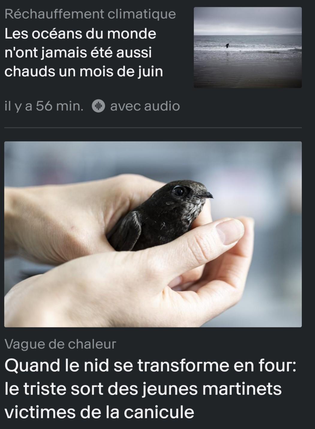 Capture d'écran de deux articles de la RTS 
Le 1er : les océans du monde n'ont jamaia été aussi chauds un mois de juin
Le second : quand le nid se transforme en four : le triste sort des jeunes martinets victimes de la canicule