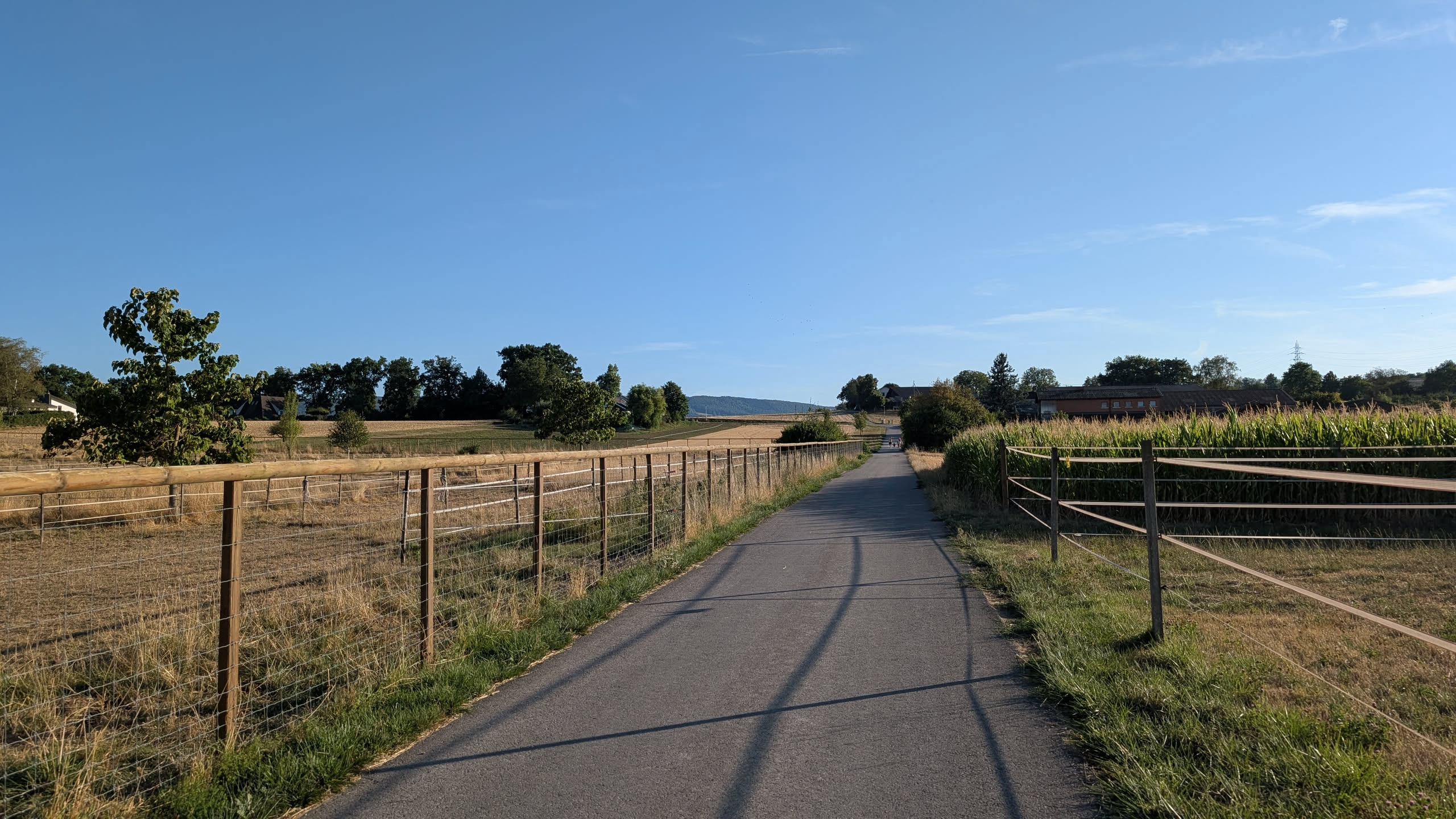 Photo of the view across fields, with an asphalt path, bushes, trees, buildings, a blue sky, and the Blauen in the distance.