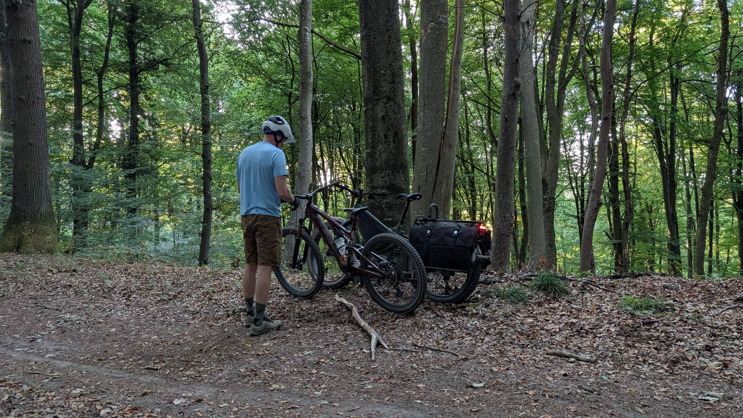 Photo of two bikes next to each other and a man standing looking at them with his back towards us. There are tall tress all around, old, dry leaves on the ground, and a path in the foreground.