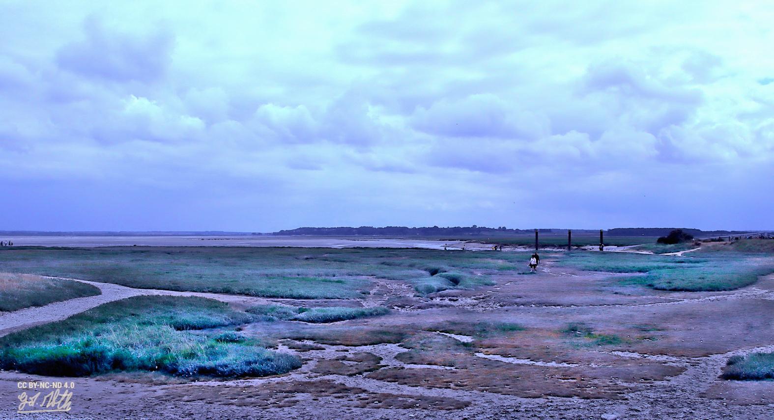 Marée basse à la pointe du Hourdel
Photo recolorisée avec beaucoup d'effet chromatique

Low tide at Pointe du Hourdel
Photo recolored with a strong chromatic effect