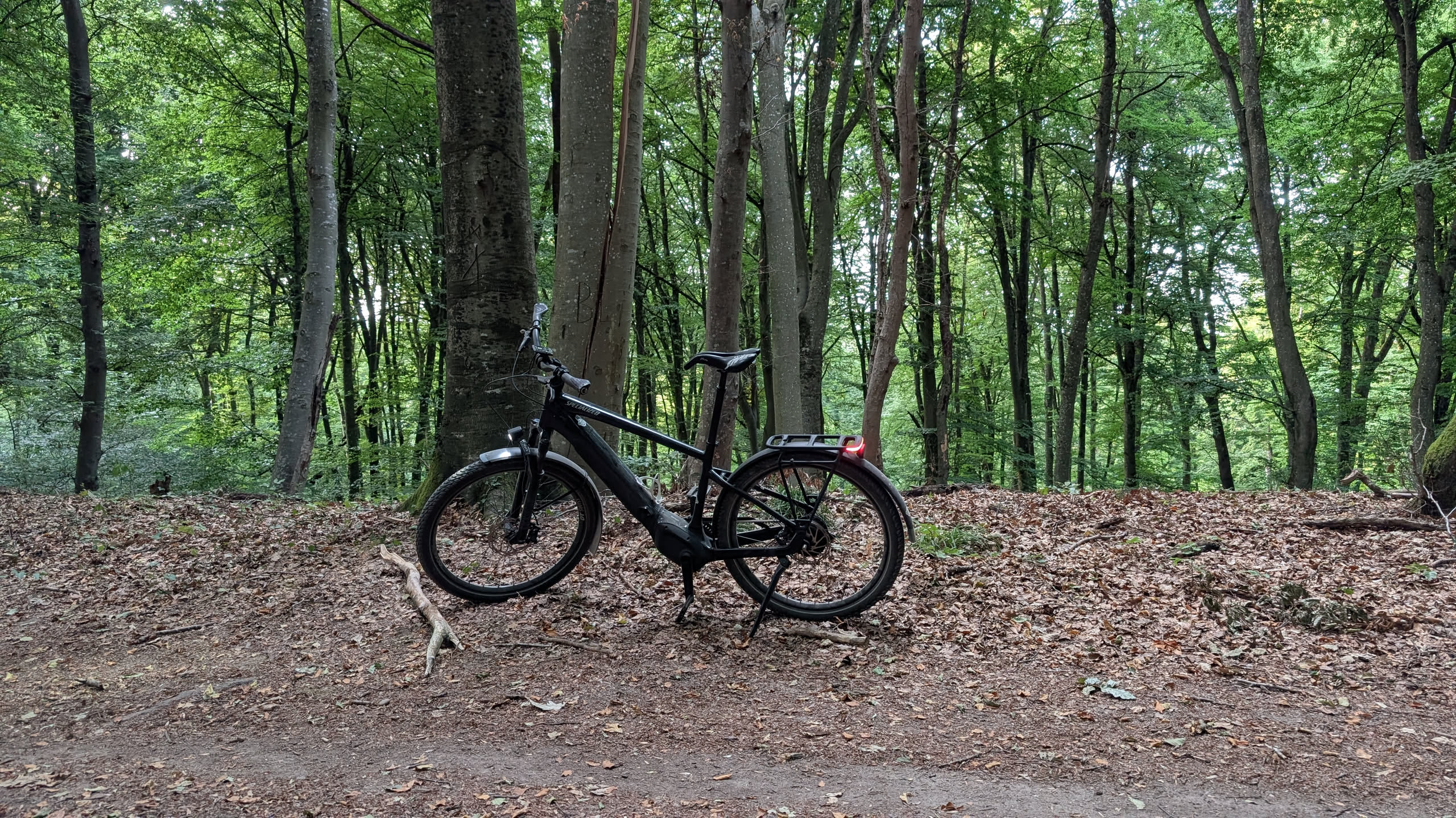 Photo of a black eBike in the woods, with tall trees behind, and leaves on the ground everywhere. The bike is clearly a commuter bike, and it looks very slightly out of place here.