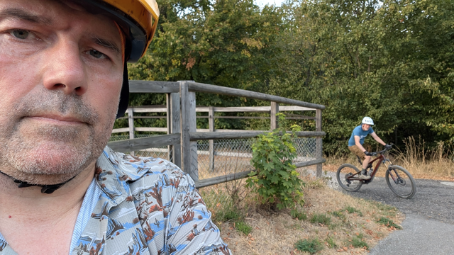 Posted media