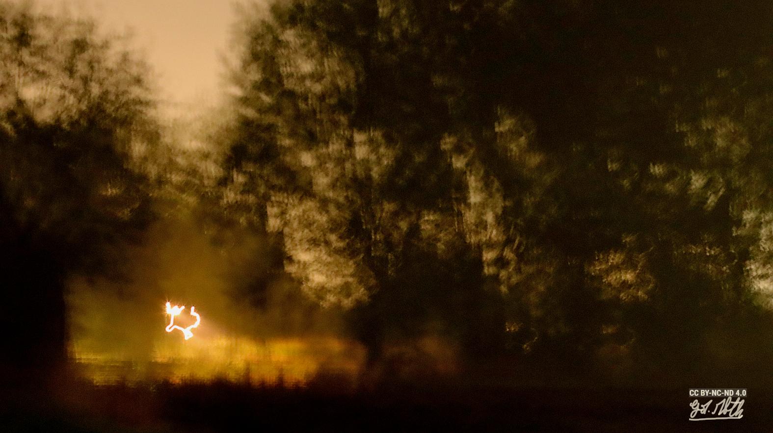 Prise de vue à l'aurore avec flou de bouger intentionel. Arbres et lumière
A shot taken at dawn with intentional motion blur. Trees and light